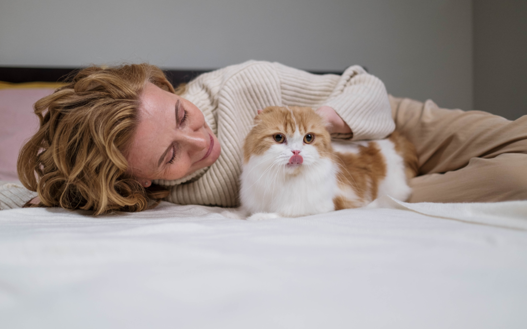 The Main Benefits You Will Experience When Having Pets at Home